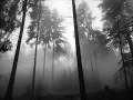 Taake - Over Bjørgvin graater Himmerik VII