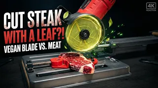 🤯 HOSH UDANE WALA EXPERIMENT: Leaf vs. Steak! (Clickable, drama create karta hai) #LeafBlade