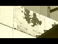 Dave Seaman - Virgo Ryzin (Sascha Braemer Mix)[Selador]