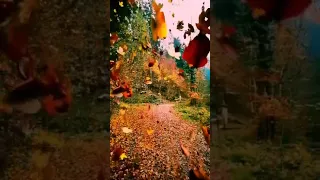 فلا عشت ان كان قلبي سكن الى البعد عن اهله و الوطن دندنها