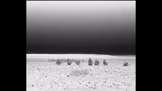 رمي كرك تصوير ليلي دندنها