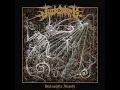 Death Knell
