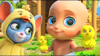 Los Pollitos con el Ratoncito el Perro y Johny – Canciones Infantiles LooLoo