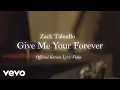 Download Lagu Zack Tabudlo - Give Me Your Forever (Official Korean Lyric Video)