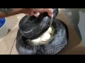 Sumatran Short Tail Python Clutch