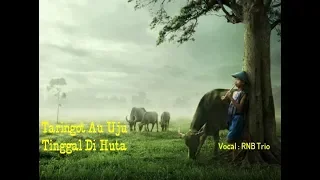 taringat au uju tinggal di huta cover lyric vocal rnb trio