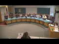 Board of Adjustment - 29 Jul 2026