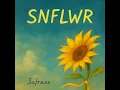 Safrane - SNFLWR (Live DJ Set)
