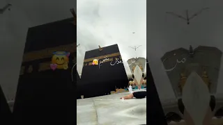 هو الحبيب الذي ترجى شفاعته       مولاي صل وسلم  اكسبلور                اكسبلور فولو  ستوريات دندنها