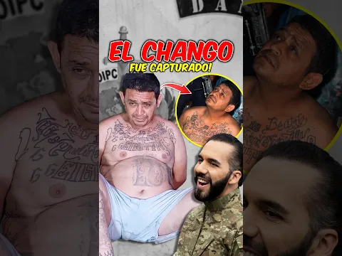 Así terminó la carrera criminal de 'El Chango' #justicia #arresto #shorts