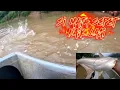 Download Lagu Double strike SI mata sepet kali ini.... Padu ...