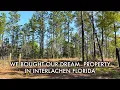 We Bought Our Dream Property in Interlachen Florida