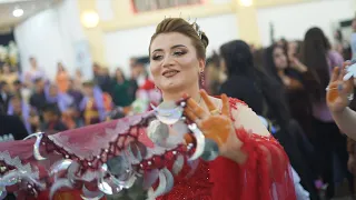 حفلة زفاف فواز و ايه دوغاتا طارق شيخاني و سربست مالتايي DAWATA FAWAZ AYA DOGHATA PART 3 