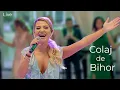 Download Lagu Claudia Ionas - Colaj muzica de Bihor - Live - Nunta Domeniul Lupas