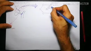 FIGADO: fisiologia hepatica