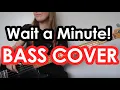 Download Lagu Willow Smith - Wait a Minute! (Bass Cover with TABS in description)