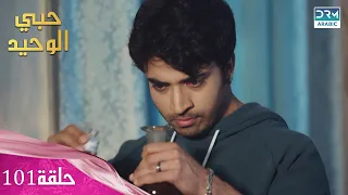 مسلسل حبي الوحيد Kyunkii Tum Hi Ho حلقة 101 دوبلاج عربي DA1L 