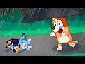 Download Lagu What Happened To Bluey! Very Sad Story But Happy Ending  | Bluey Funny Animation