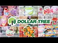 UNBELIEVABLE DOLLAR TREE DID THIS BUYERS BE AWARE THAT YOU RE GETTING WHAT YOU PAID FOR