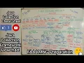 Java Collection Cheat-Sheet Java Collection Framework Mini-Guide Cum Flowchart FAAAMNG Preparation