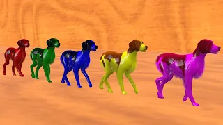 The animals of the farm are colored swimming in the pool