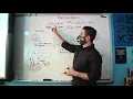 Biology Photosynthesis Graphic Organizer