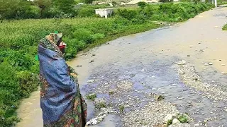 اقوى مزمار بنات اليمن الفنانة دنياء رائع قوة 