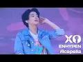 ENHYPEN - XO (Only If You Say Yes) | Clean Acapella