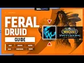 FERAL DRUID WOTLK GUIDE Best Race Talents Glyphs Gear Professions Macros