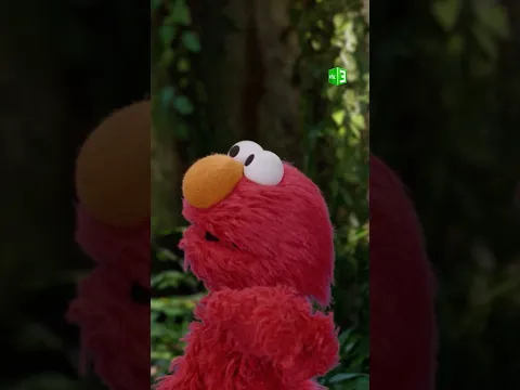 هل ستكون أغنيتها بطيئة مثلها؟