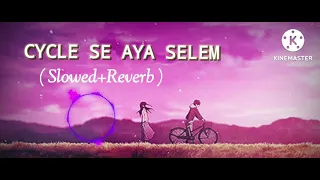 slowed reverb cycle se aya selem nagpuri song skbara reverb