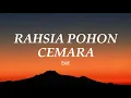 Download Lagu Exist - Rahsia Pohon Cemara