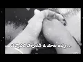 Download Lagu ||yededu janmalaki kavali nuvvu whats app status||surya web series||ededu janmalaki kavali nuvvu||