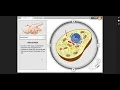 Cell Structure Gizmo - Organelle walkthrough