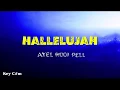 Lagu Hallelujah Axel Rudi Pell (videolyrics)