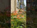 Download Lagu The Wild Flowers of Villa Nuova