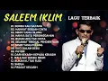 Download Lagu POP MELAYU SLOW ROCK SALEEM IKLIM FULL ALBUM TANPA IKLAN | LAGU JADUL VIRAL