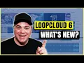 Loopcloud 6 Overview and Whats New