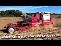 Download Lagu 4Kᵁᴴᴰ Harvest 2025: Home Farm Nacton harvesting potatoes with their Grimme Varitron 220 in Suffolk.