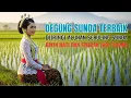 Download Lagu DEGUNG SUNDA SANGAT MERDU DIIRINGI ALUNAN SERULING SUNDA YANG BIKIN HATI JADI ADEM \u0026 TENANG #sawah