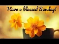 Good morning sunday images and best good night picture