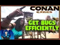 HOW TO GET LOTS OF BEES EFFICIENTLY Conan Exiles