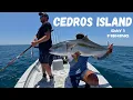 Cedros Island Fishing Day 1 with Cedros Sportfishing with Toro