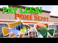 Lagu Stop met geld verspillen aan aquariumspullen! 10 dingen die je bij Home Depot kunt kopen!