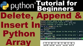 Delete Append and Insert in Python Array Learning Python