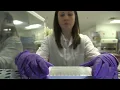 LabCorp PhageDX 96 Well