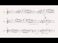 Song From a Secret Garden flute sheet music