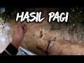 Download Lagu HASIL BELAH PAGI