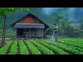 Download Lagu From businessman to farmer, a CEO's journey to a free and independent homeland