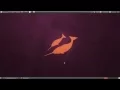 Shell Scripting Tutorial 9 See What s In Using ls